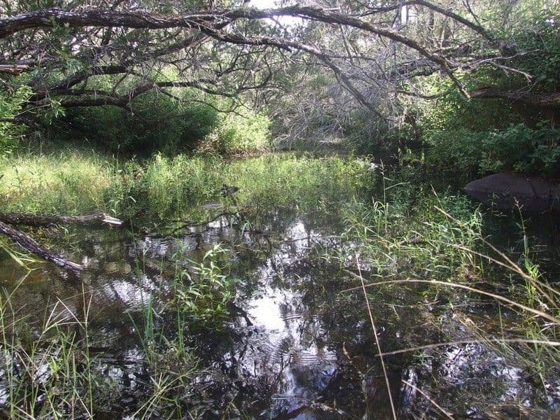 CROWS NEST QLD 4355, Crows Nest - Thumbnail 8