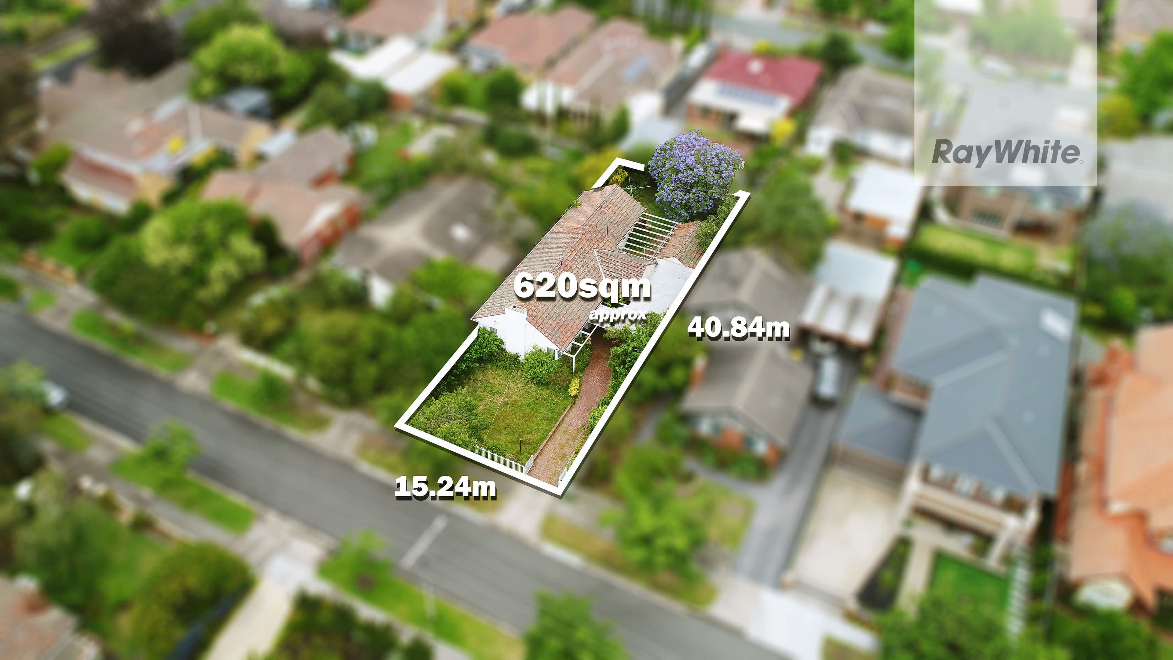 50 Liston Street, Glen Iris VIC 3146, Glen Iris - Thumbnail 8