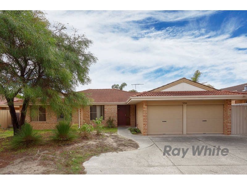556 Marmion Street, BOORAGOON WA 6154, Booragoon - Thumbnail 3