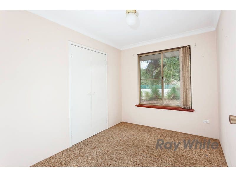 556 Marmion Street, BOORAGOON WA 6154, Booragoon - Thumbnail 8