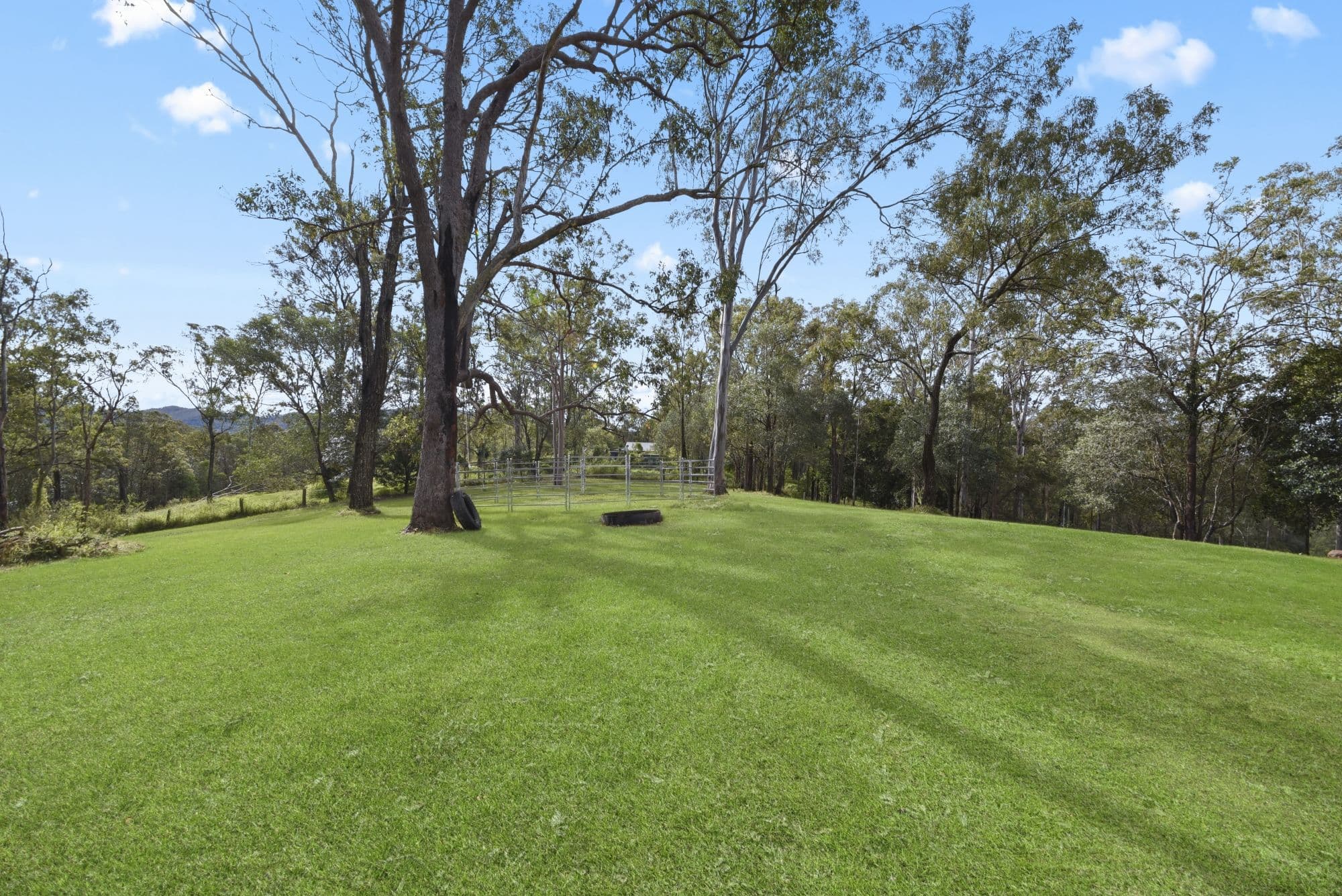 6 Springfield Court, Wights Mountain QLD 4520, Wights Mountain - Thumbnail 7