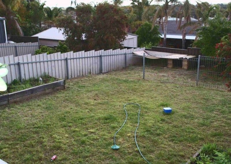 23B Ian Drive, PARINGA SA 5340, Paringa - Thumbnail 7