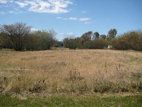 70 Wilga Street, COONAMBLE NSW 2829, Coonamble - Thumbnail 3