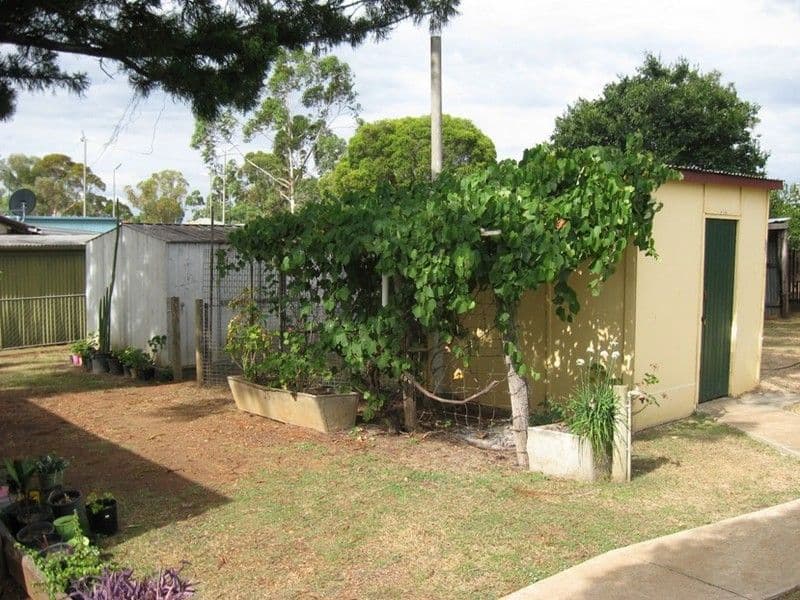 52 Campbell Street, OAKEY QLD 4401, Oakey - Thumbnail 3