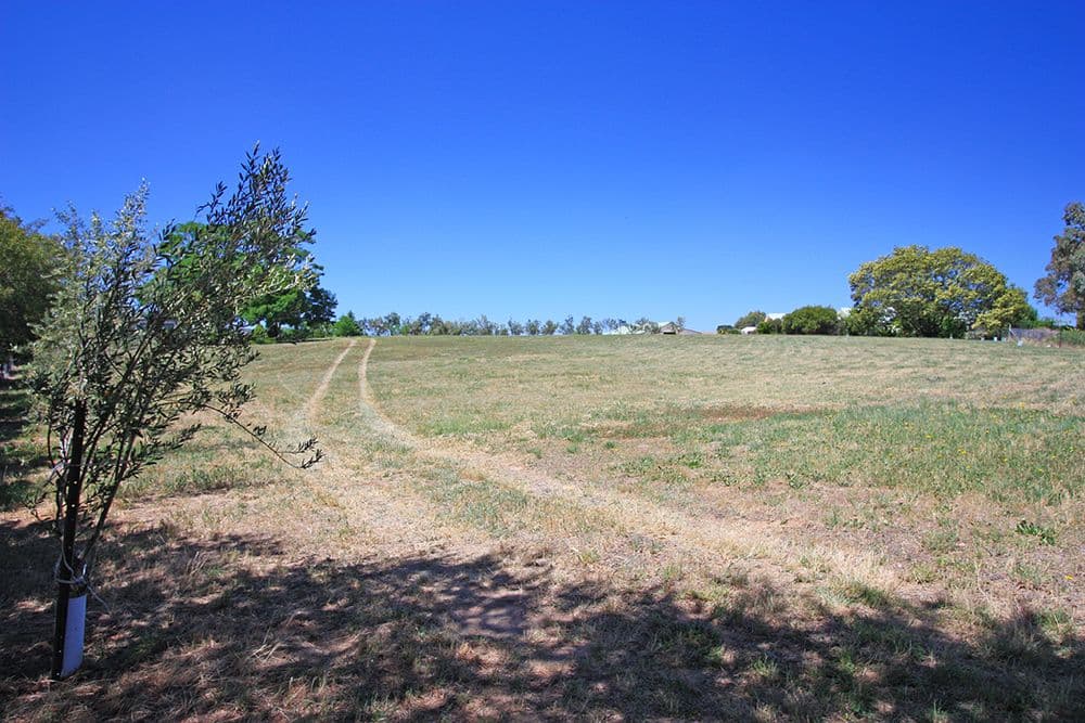 7 Duncan Avenue, Bungendore NSW 2621, Bungendore - Thumbnail 2
