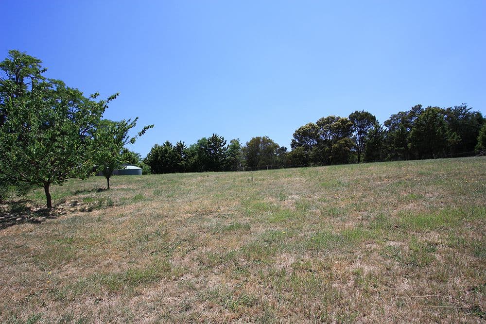 7 Duncan Avenue, Bungendore NSW 2621, Bungendore - Thumbnail 4