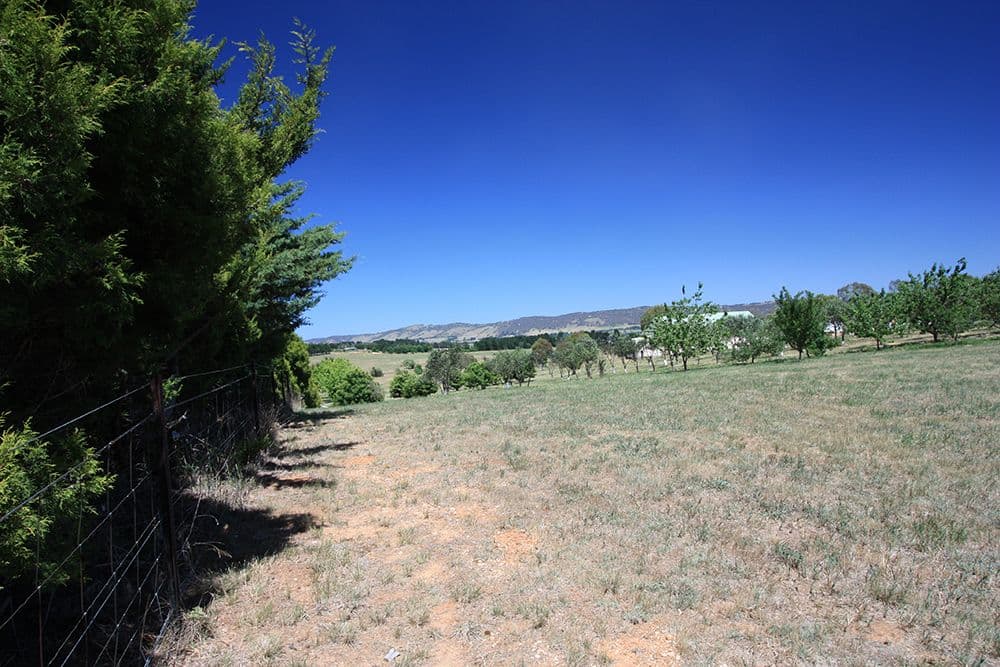 7 Duncan Avenue, Bungendore NSW 2621, Bungendore - Thumbnail 8