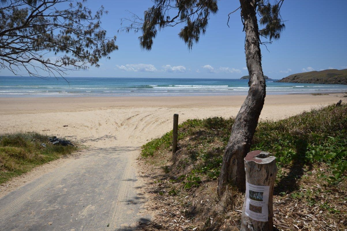 9 Blue Gum Avenue, SANDY BEACH NSW 2456, Sandy Beach - Thumbnail 4