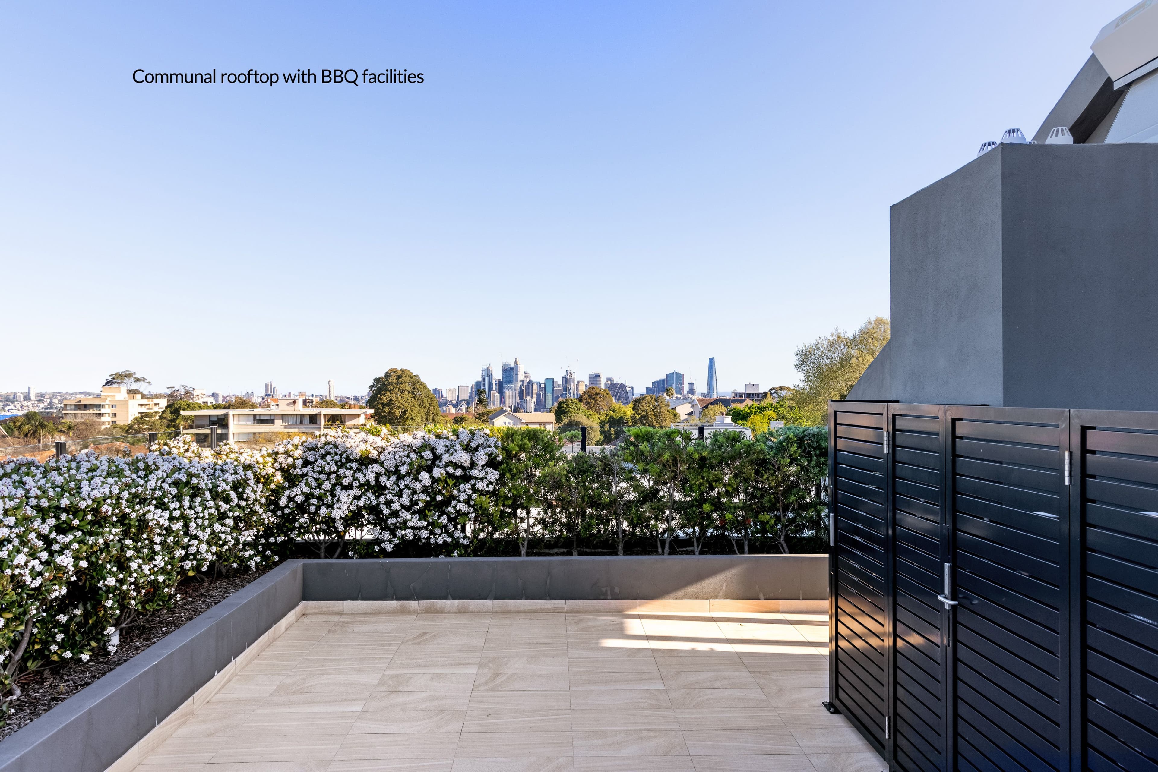138 Military Road, Neutral Bay NSW 2089, Neutral Bay - Thumbnail 8
