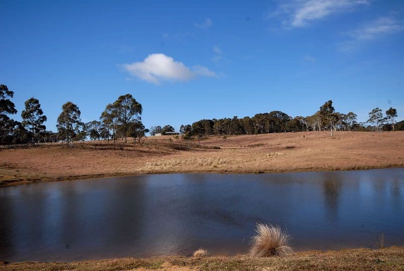 315 Back Creek Road, BRAIDWOOD NSW 2622, Braidwood - Thumbnail 4