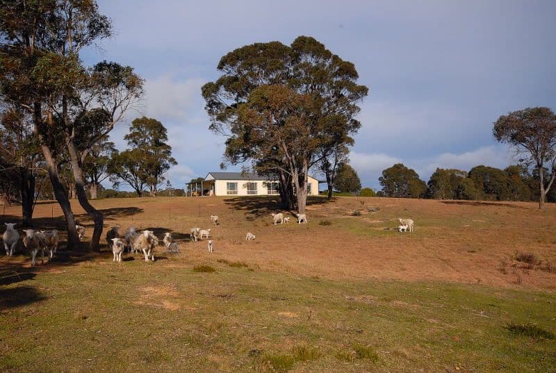 315 Back Creek Road, BRAIDWOOD NSW 2622, Braidwood - Thumbnail 6