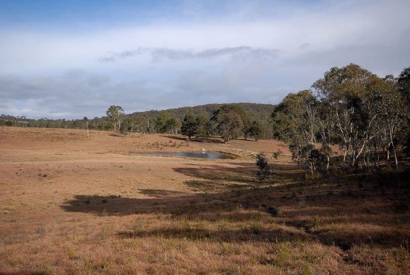 315 Back Creek Road, BRAIDWOOD NSW 2622, Braidwood - Thumbnail 7