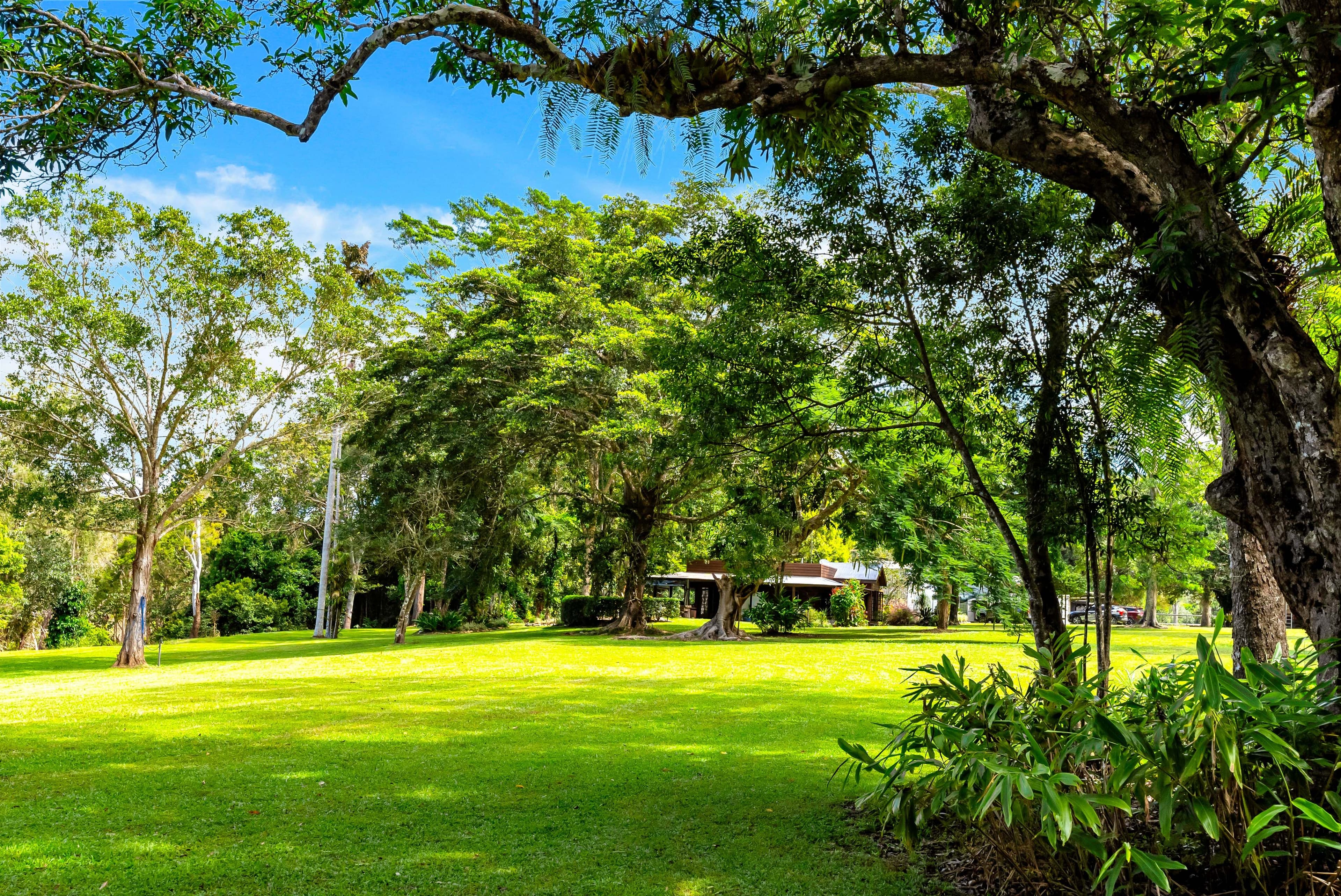 33 Jeffrey Road, Kuranda QLD 4881, Kuranda - Thumbnail 5