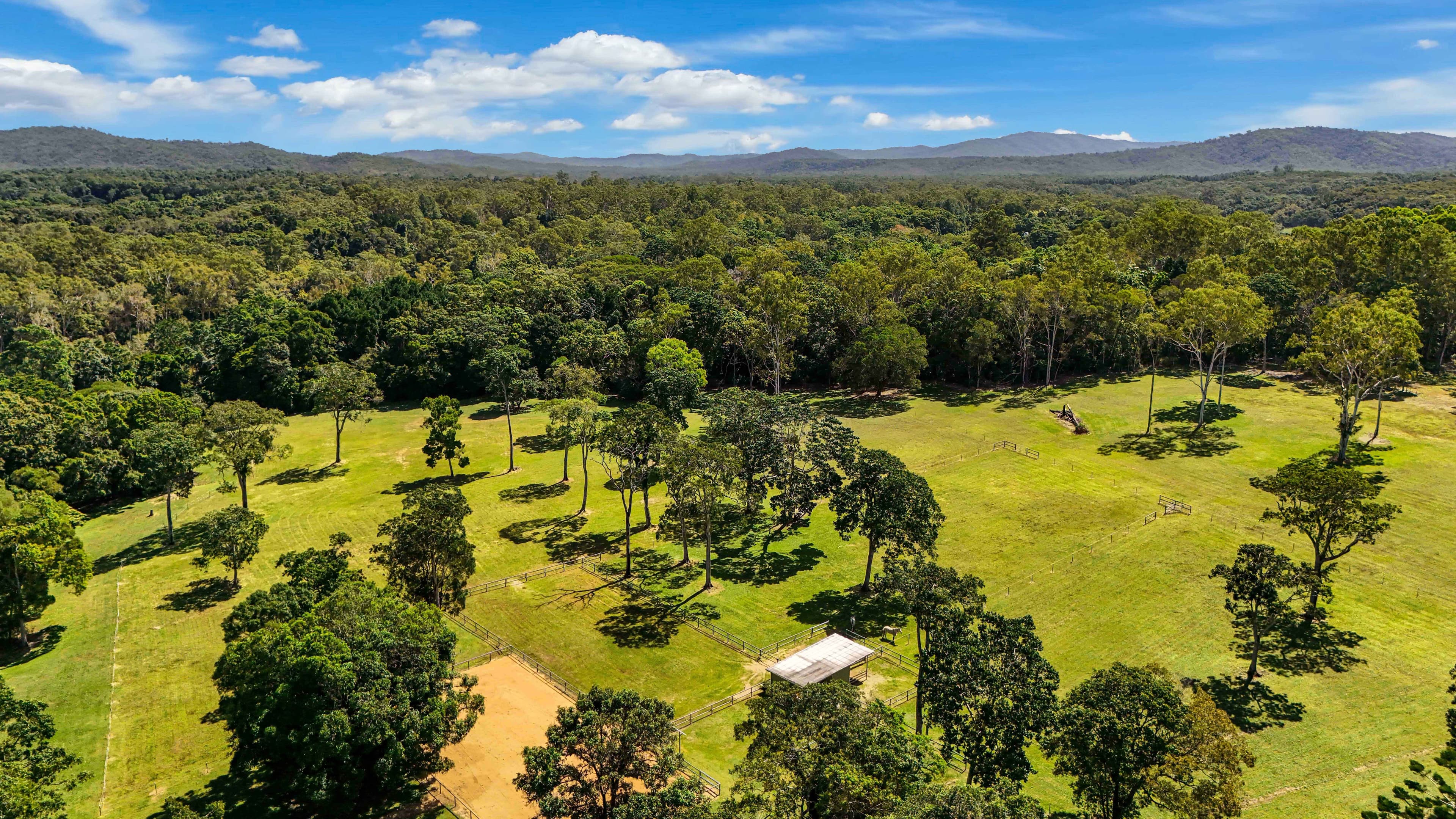 33 Jeffrey Road, Kuranda QLD 4881, Kuranda - Thumbnail 6