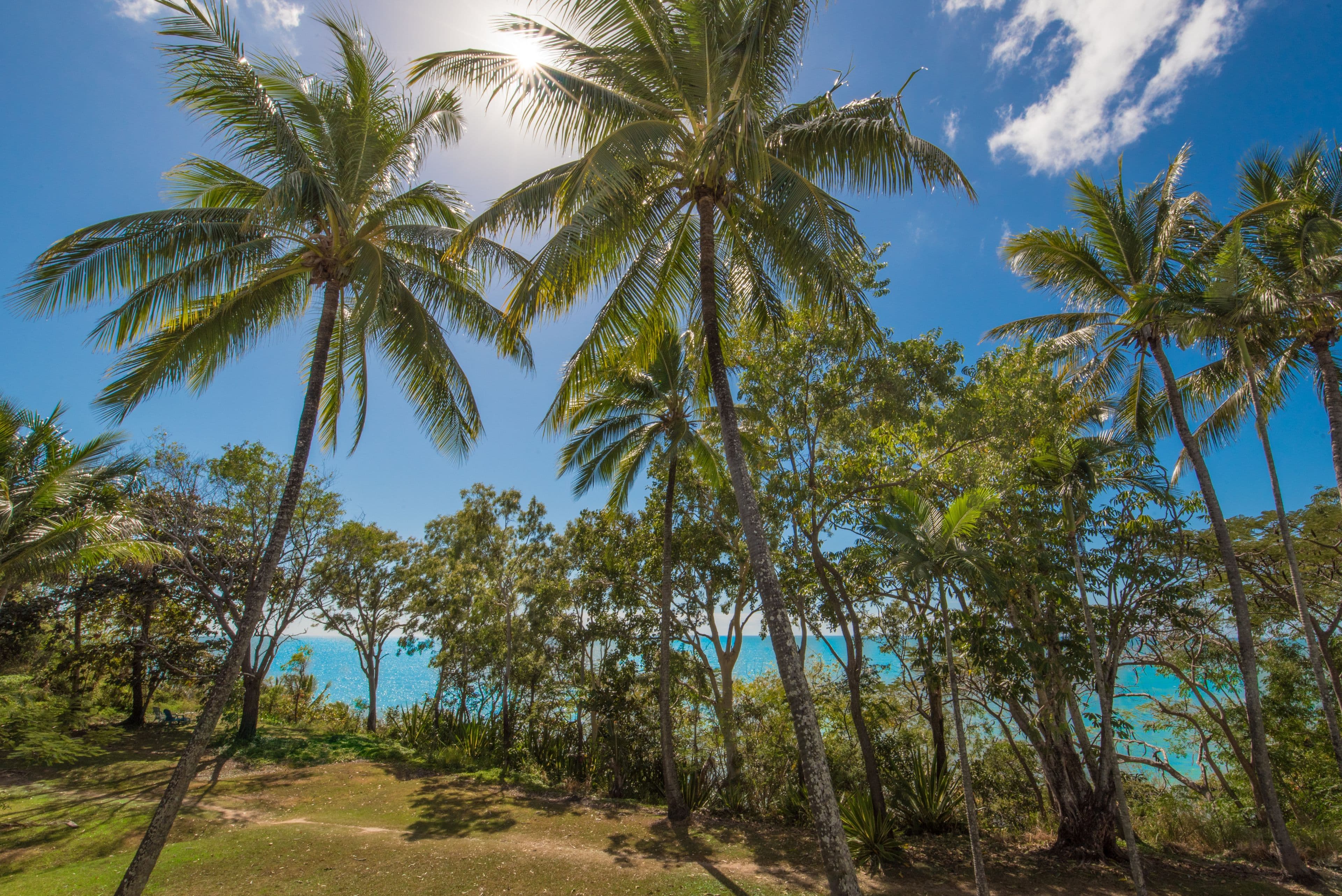 96 Moore Street, Trinity Beach QLD 4879, Trinity Beach - Image 1