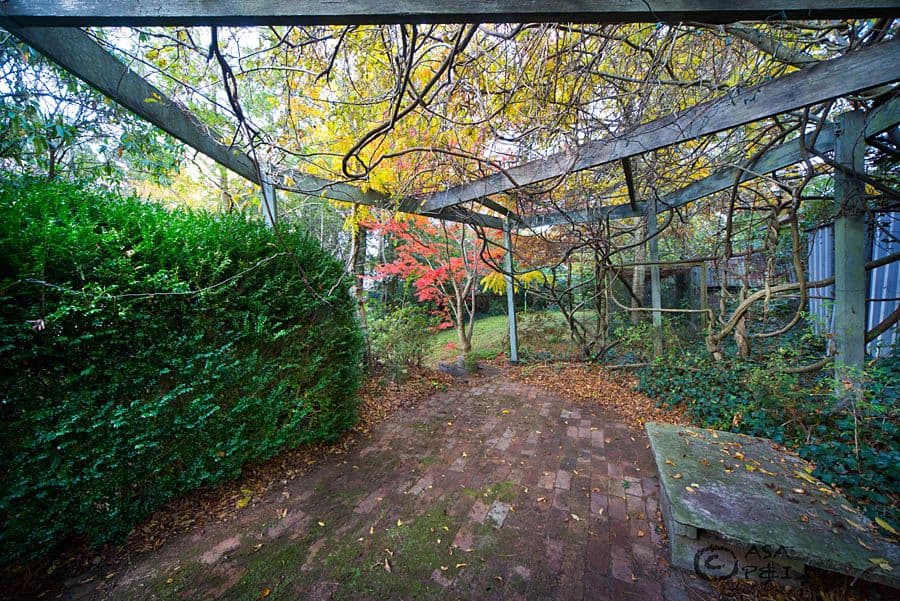 15 Lookout Street, BLACKHEATH NSW 2785, Blackheath - Thumbnail 5