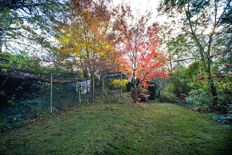 15 Lookout Street, BLACKHEATH NSW 2785, Blackheath - Thumbnail 7