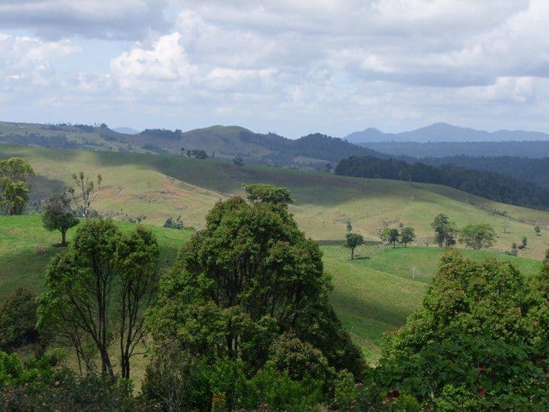 9 Pine Street South, Millaa Millaa QLD 4886, Millaa Millaa - Thumbnail 2