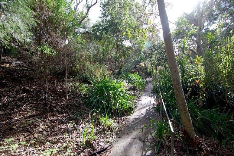 13 Cedar Avenue, BLACKWOOD SA 5051, Blackwood - Thumbnail 3
