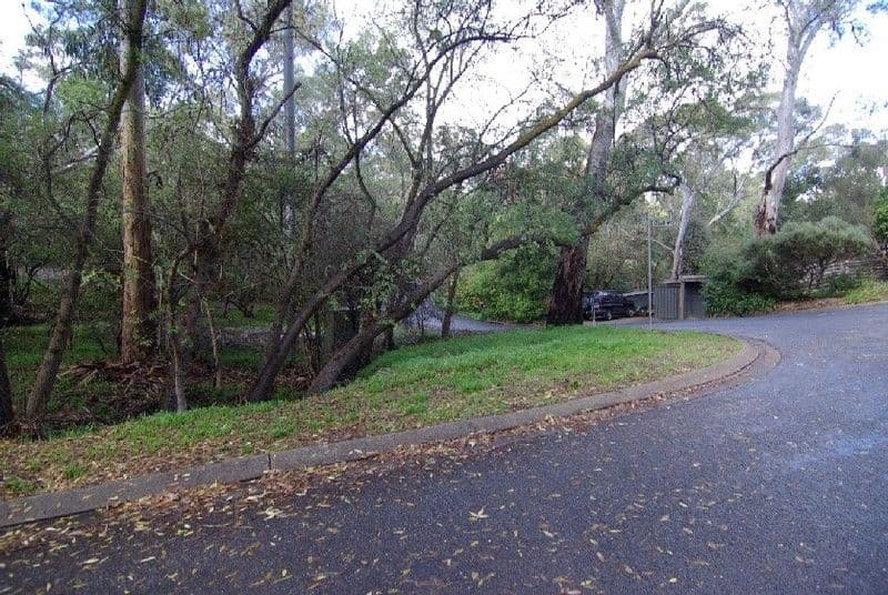 13 Cedar Avenue, BLACKWOOD SA 5051, Blackwood - Thumbnail 4