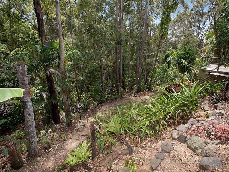 21 Palana Court, BUDERIM QLD 4556, Buderim - Thumbnail 8