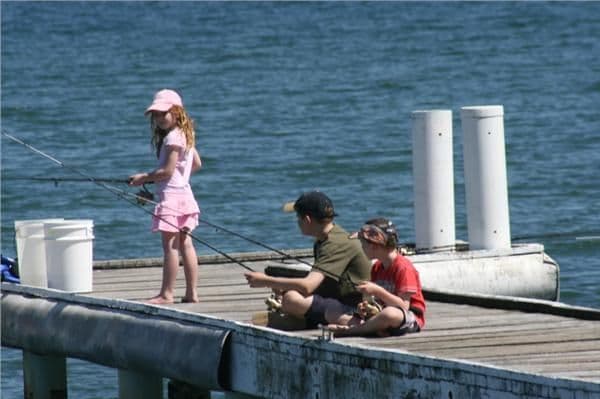 88 Kingfisher Circuit, CAMS WHARF NSW 2281, Cams Wharf - Thumbnail 2