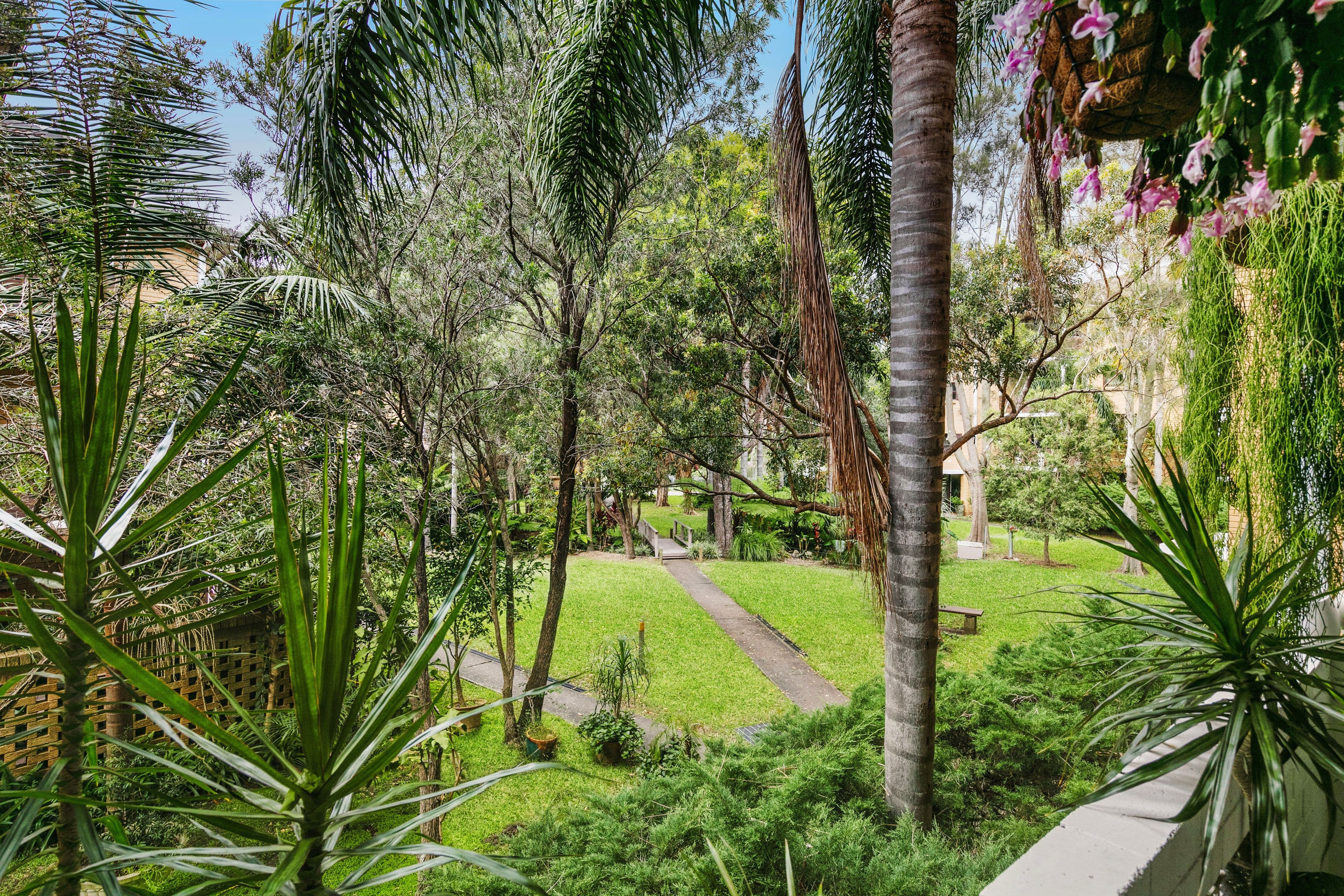 33 Palomar Parade, Freshwater NSW 2096, Freshwater - Thumbnail 7