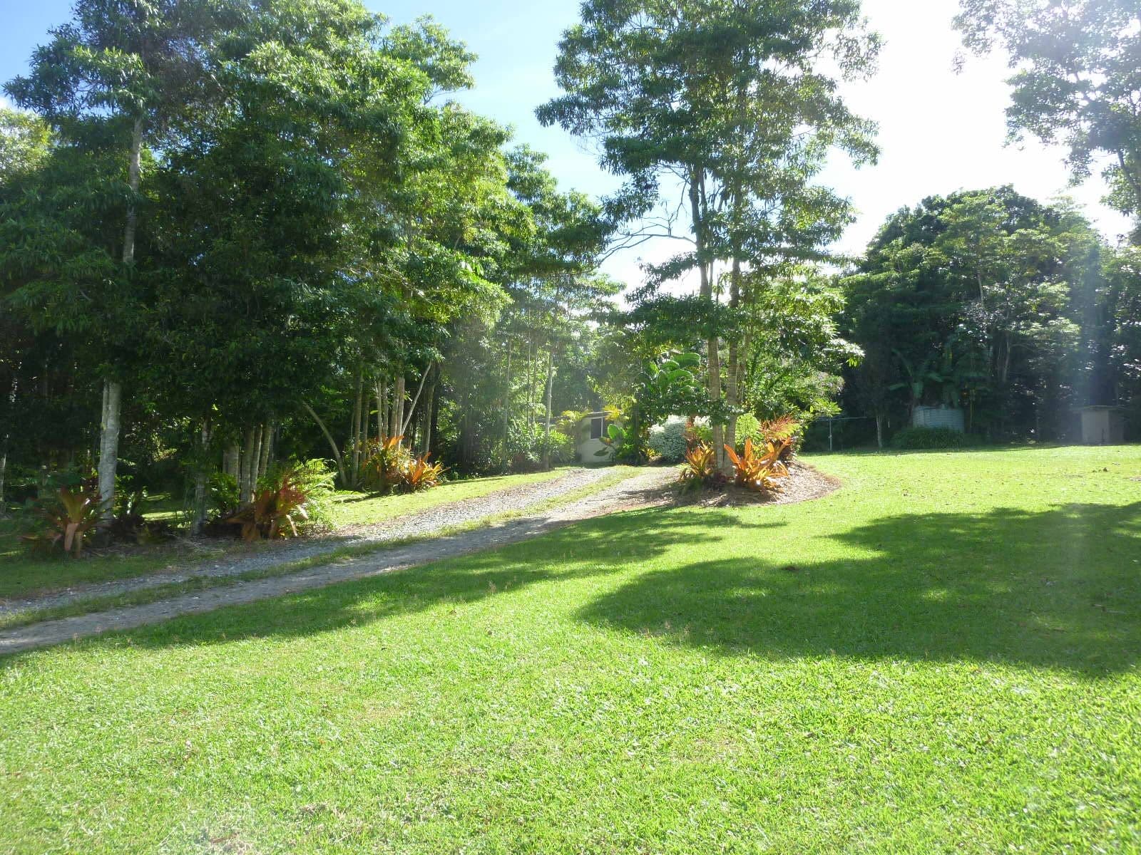 86 Windsor View Drive, Julatten QLD 4871, Julatten - Thumbnail 5