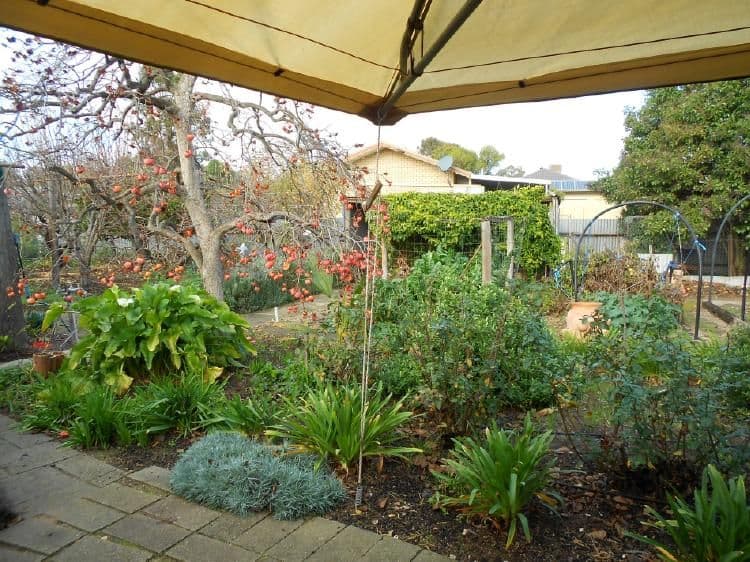 188 Victoria Parade, BORDERTOWN SA 5268, Bordertown - Thumbnail 8