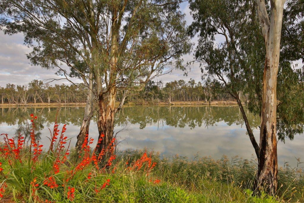 Lot 1 6401a Sturt Highway, Trentham Cliffs NSW 2738, Penshurst - Thumbnail 2