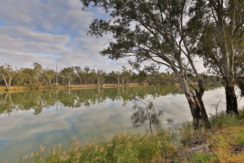 Lot 1 6401a Sturt Highway, Trentham Cliffs NSW 2738, Penshurst - Thumbnail 6