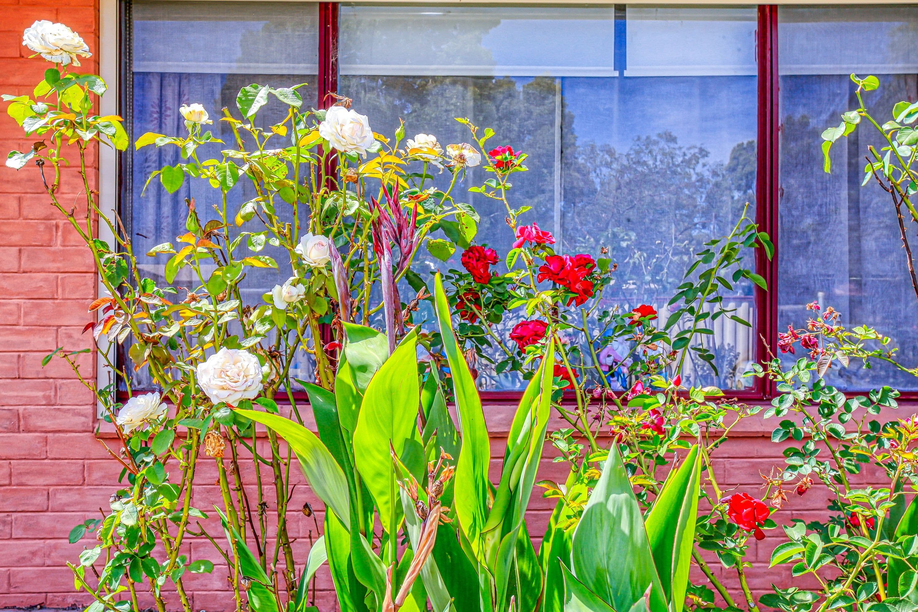 14 Werndley Street, Armadale WA 6112, Armadale - Thumbnail 5