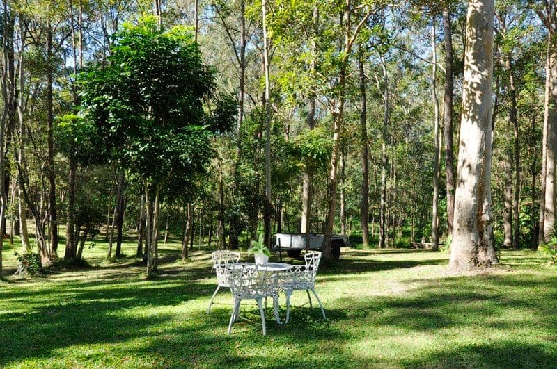 6 Rutherglen Court, TALLAI QLD 4213, Tallai - Thumbnail 8