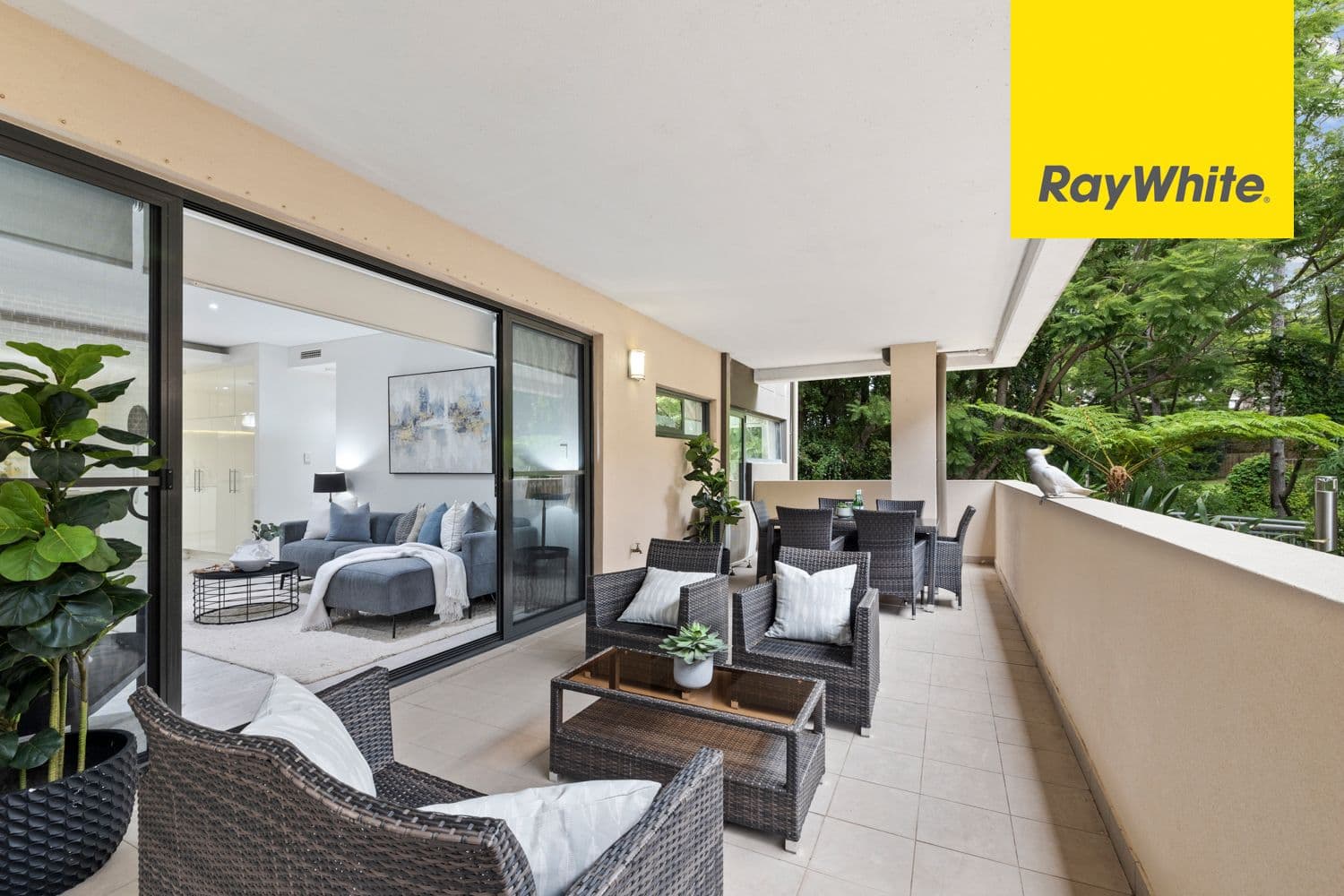 23 Ray Road, Epping NSW 2121, Epping - Thumbnail 6