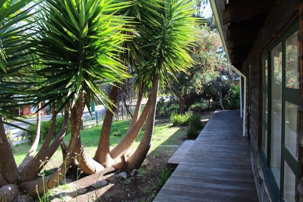 18 Iluka Avenue, Denmark WA 6333, Denmark - Image 1