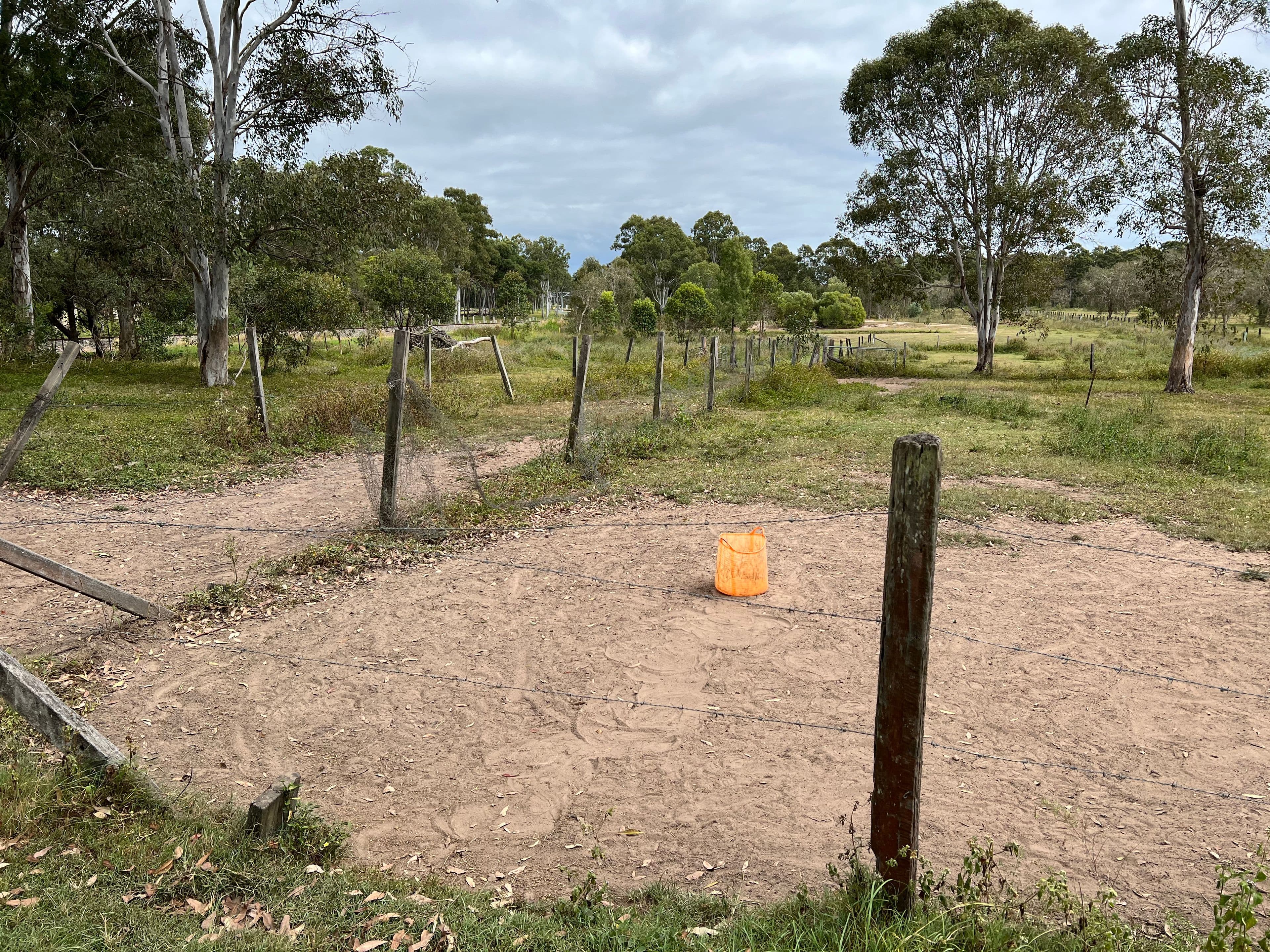 82 Murdoch Street, Oakhurst QLD 4650, Oakhurst - Thumbnail 5