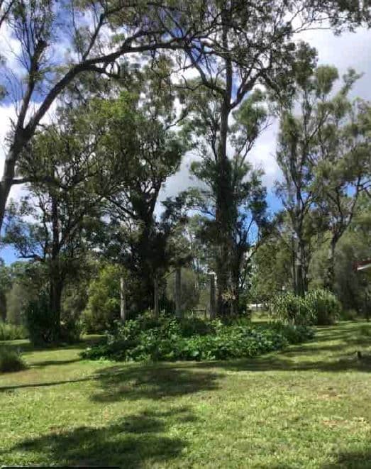 82 Murdoch Street, Oakhurst QLD 4650, Oakhurst - Thumbnail 6