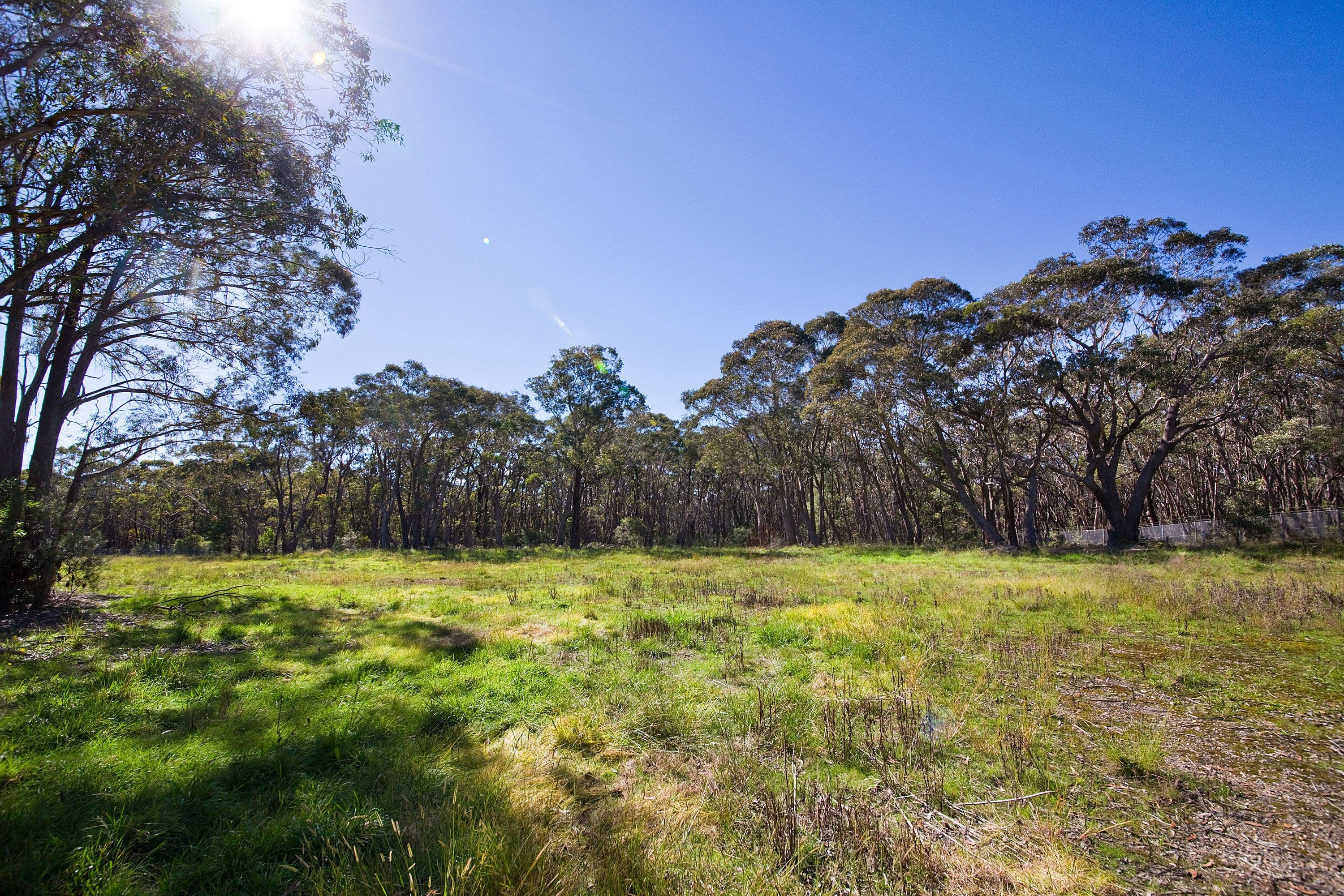 Lot 419 - 111 Mort Street, Katoomba NSW 2780, Katoomba - Thumbnail 2