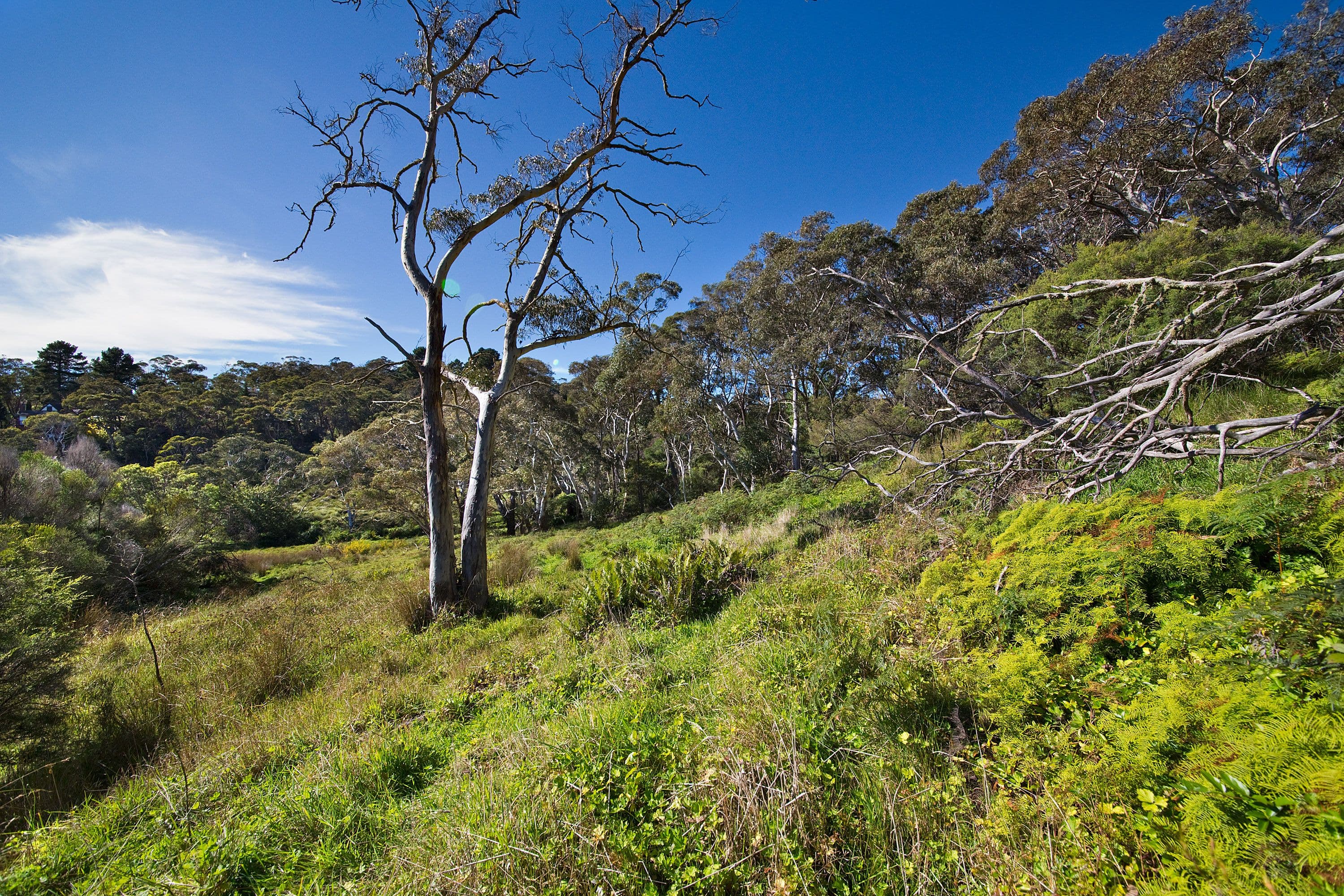 Lot 419 - 111 Mort Street, Katoomba NSW 2780, Katoomba - Thumbnail 3