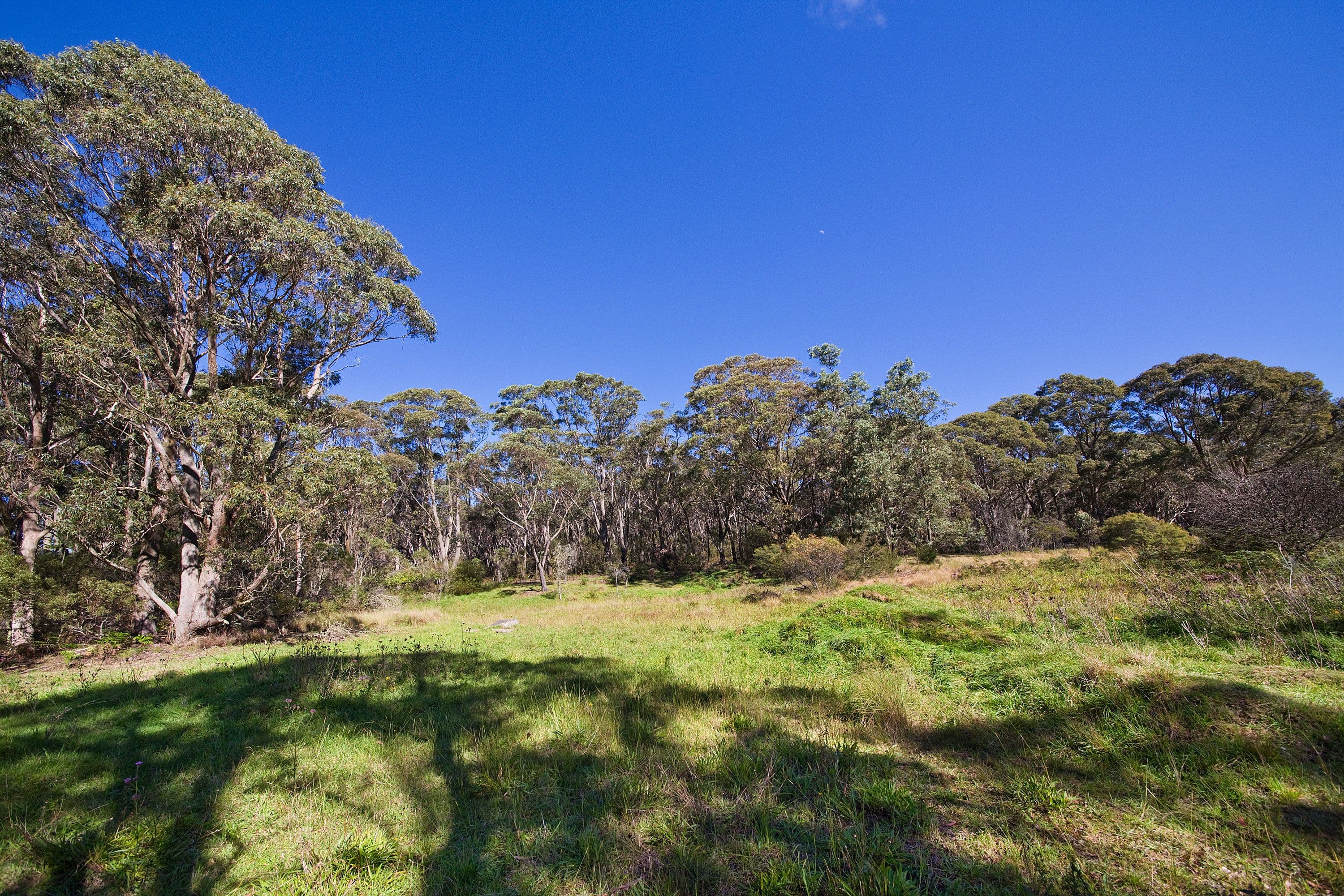 Lot 419 - 111 Mort Street, Katoomba NSW 2780, Katoomba - Thumbnail 5