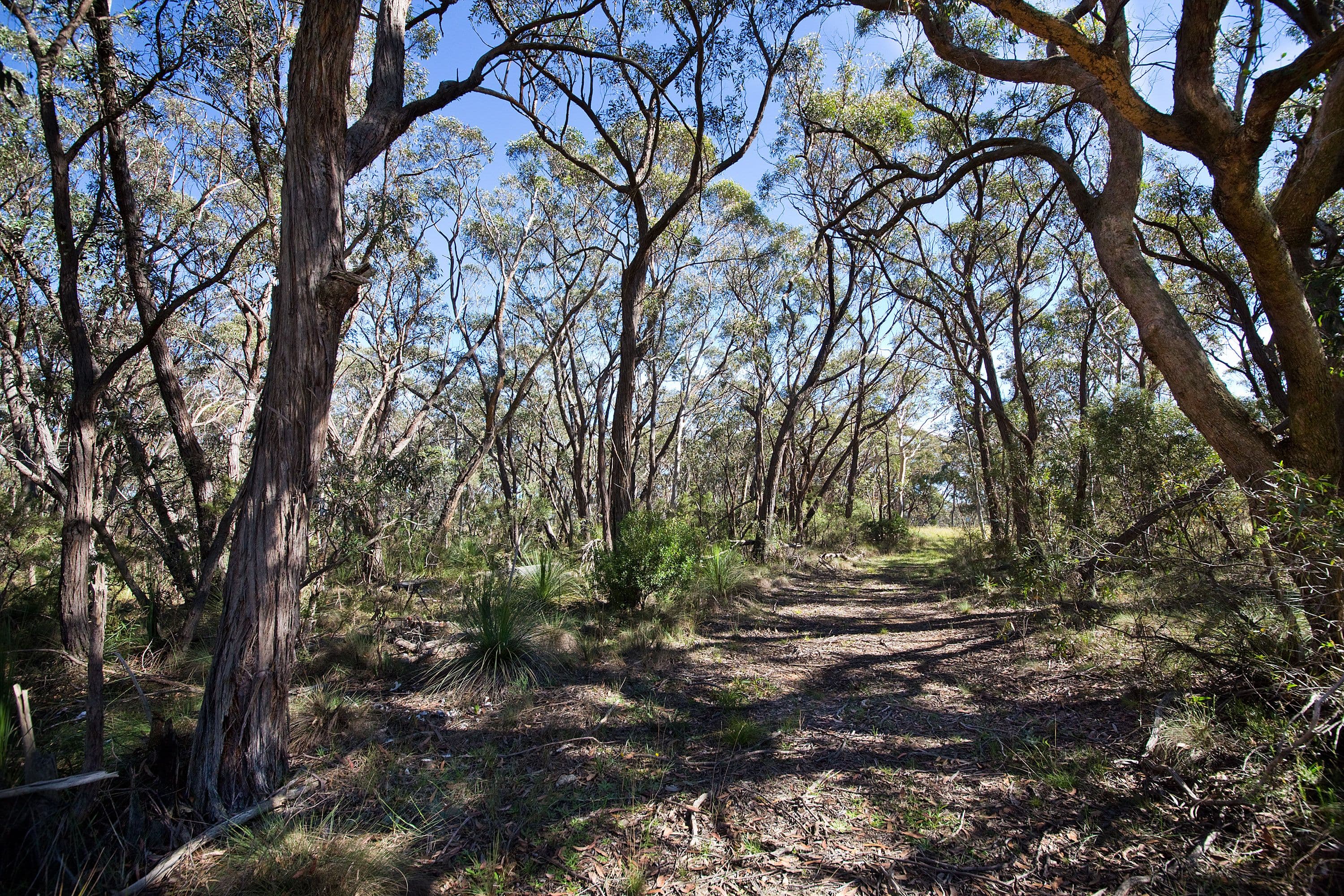 Lot 419 - 111 Mort Street, Katoomba NSW 2780, Katoomba - Thumbnail 6