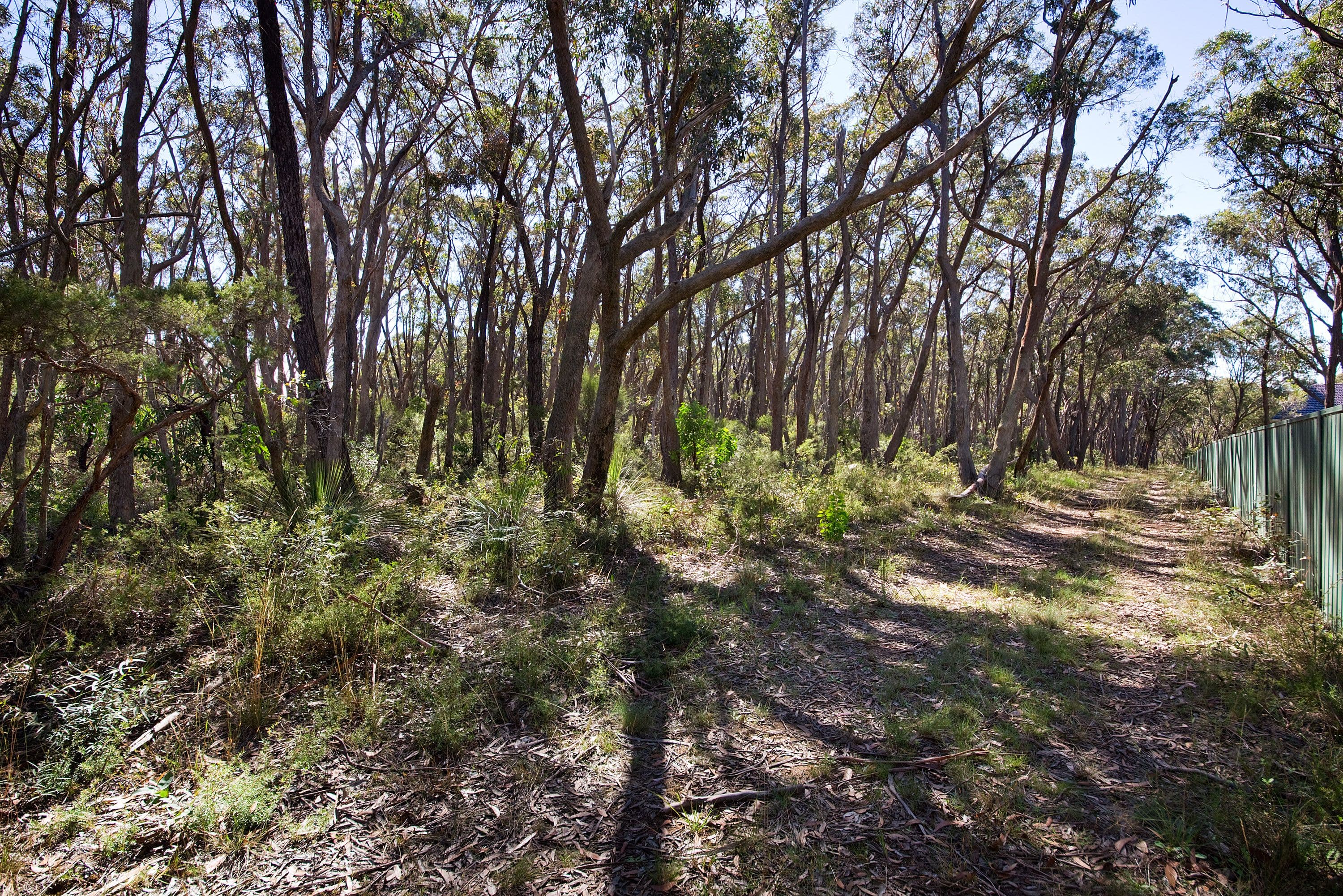 Lot 419 - 111 Mort Street, Katoomba NSW 2780, Katoomba - Thumbnail 7
