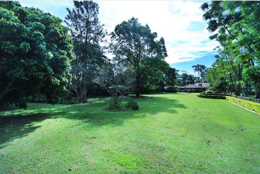 391 Hellawell Road, SUNNYBANK HILLS QLD 4109, Sunnybank Hills - Thumbnail 5
