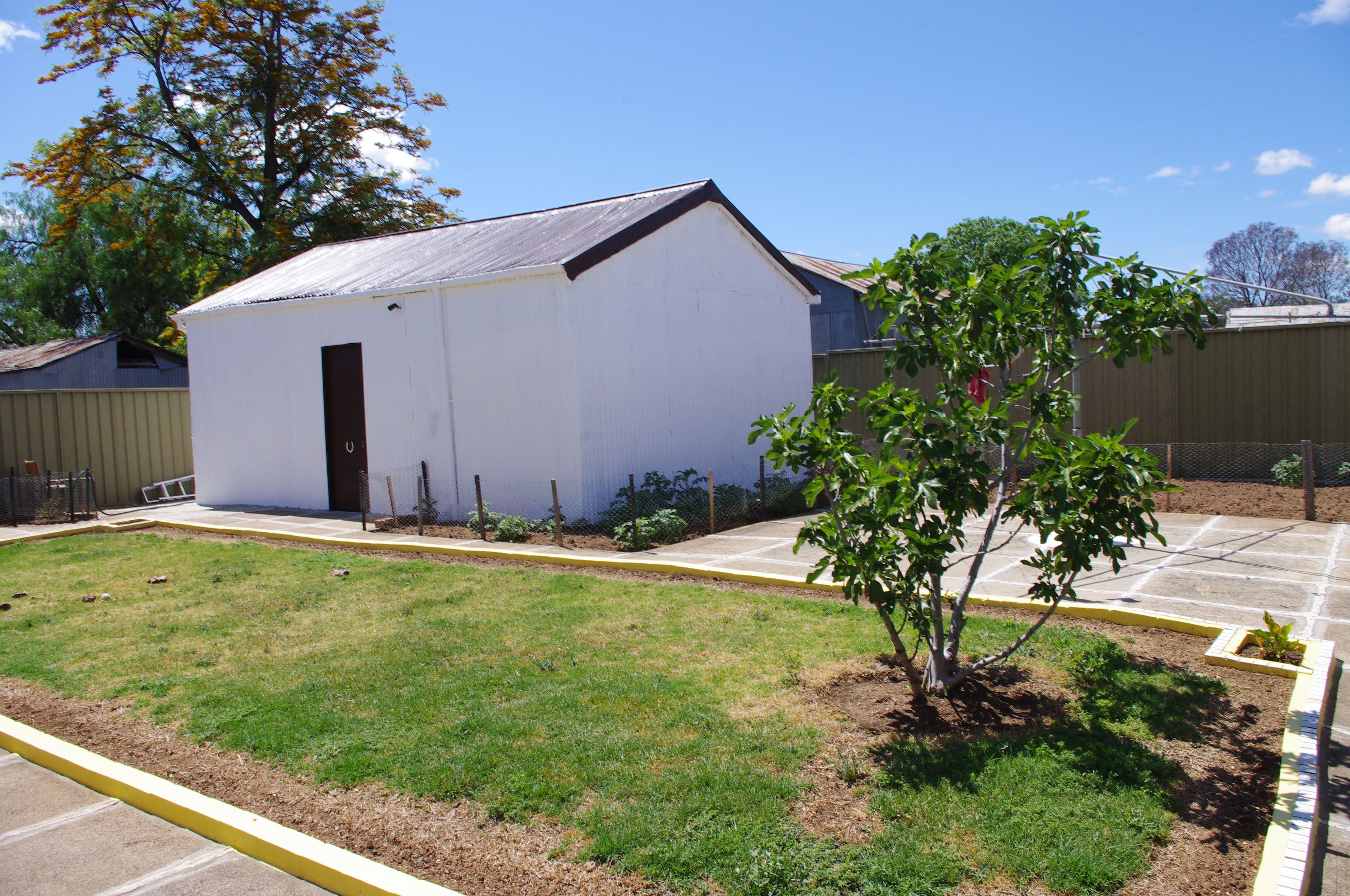 15 Dumboy Street, Delungra - Thumbnail 3