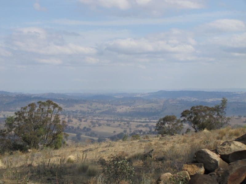 TURONDALE NSW 2795, Turondale - Thumbnail 4