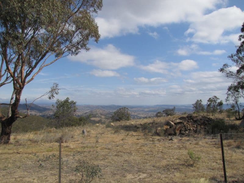TURONDALE NSW 2795, Turondale - Thumbnail 8