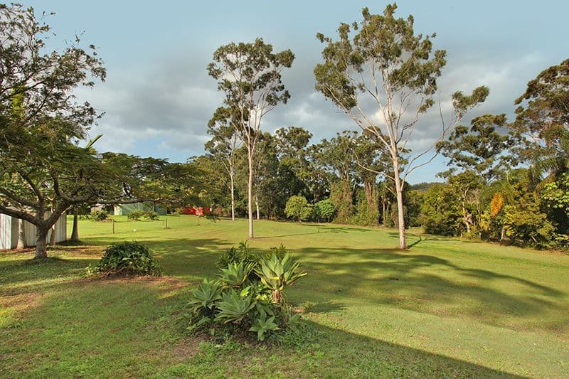 161 Eudlo Flats Road, Diddillibah QLD 4559, Diddillibah - Thumbnail 5