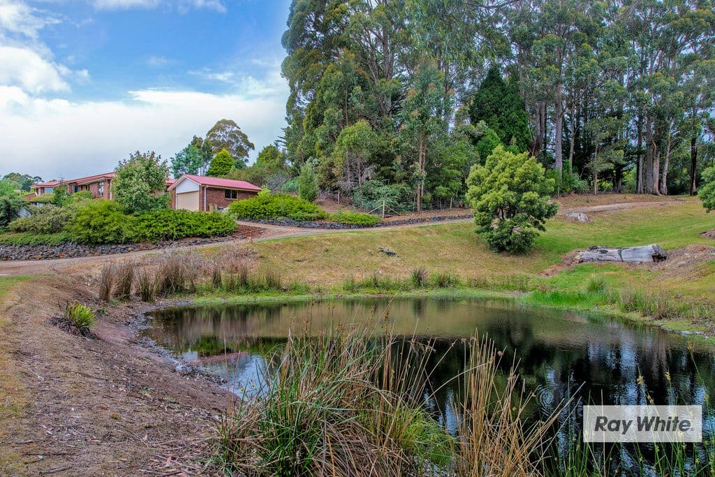 20 Crawford Road, Penguin TAS 7316, Penguin - Thumbnail 4