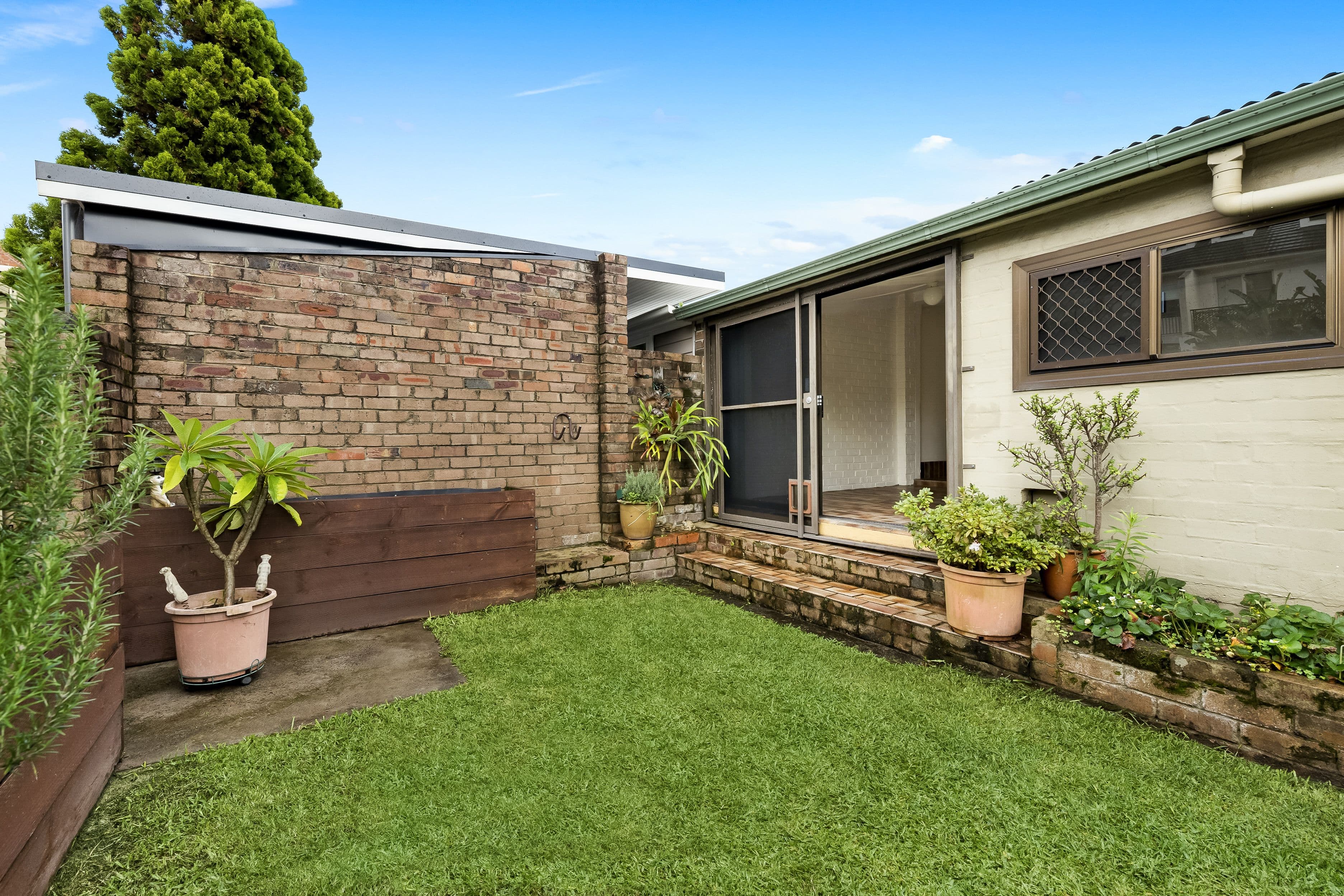 3 Daphne Street, Botany NSW 2019, Botany - Thumbnail 4
