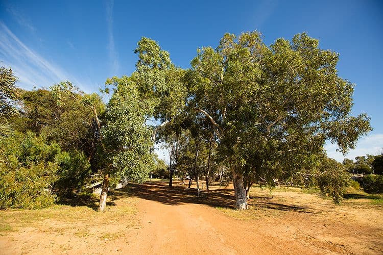 57 Arnold Road, WAGGRAKINE WA 6530, Waggrakine - Thumbnail 8